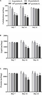 The Effect of Microplastics on the Bioenergetics of the Mussel Mytilus coruscus Assessed by Cellular Energy Allocation Approach